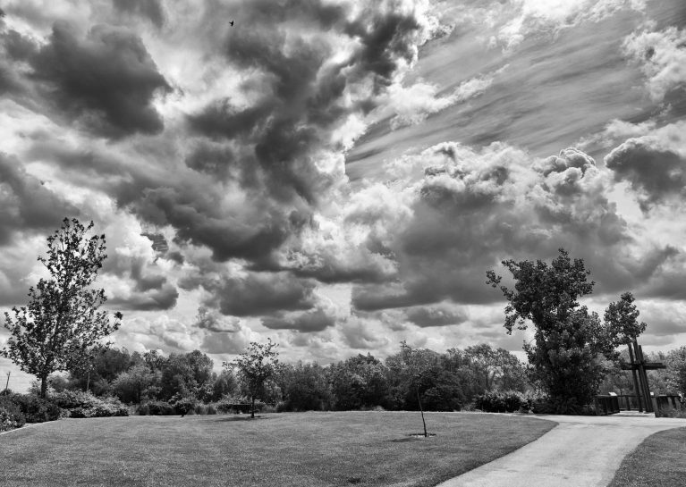 The Path