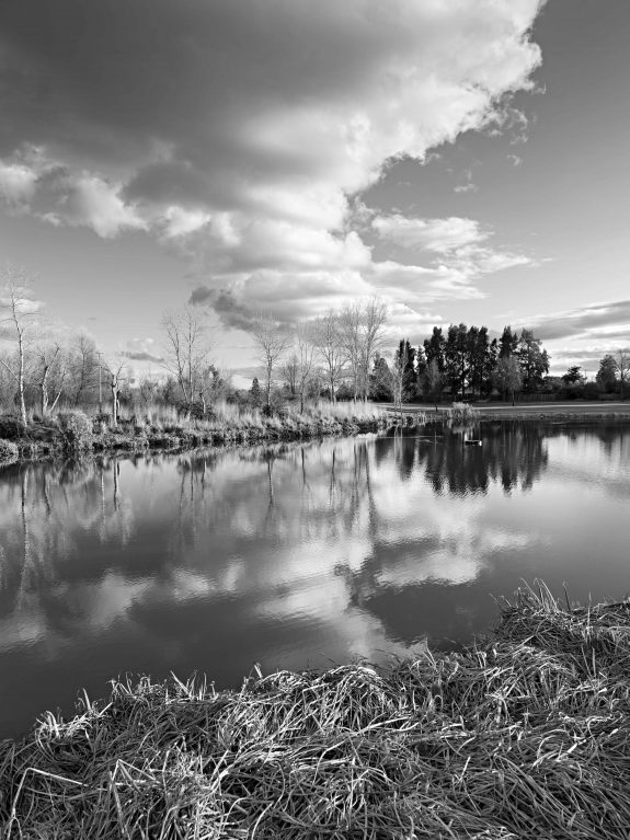 Winter Reflections