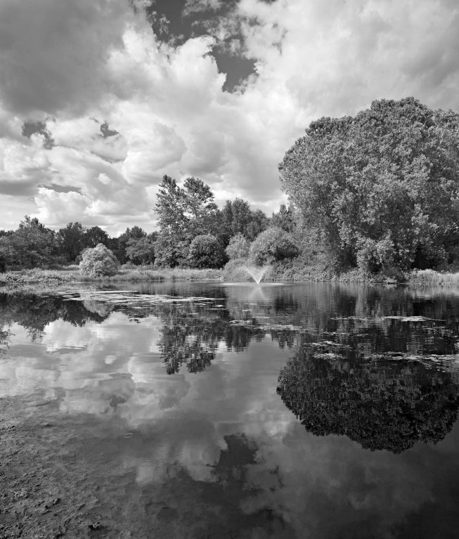 Mirror Image