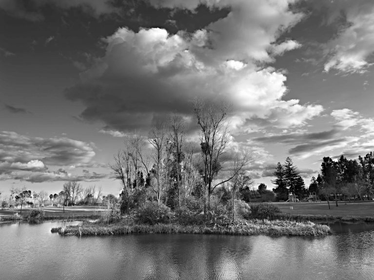 The Island