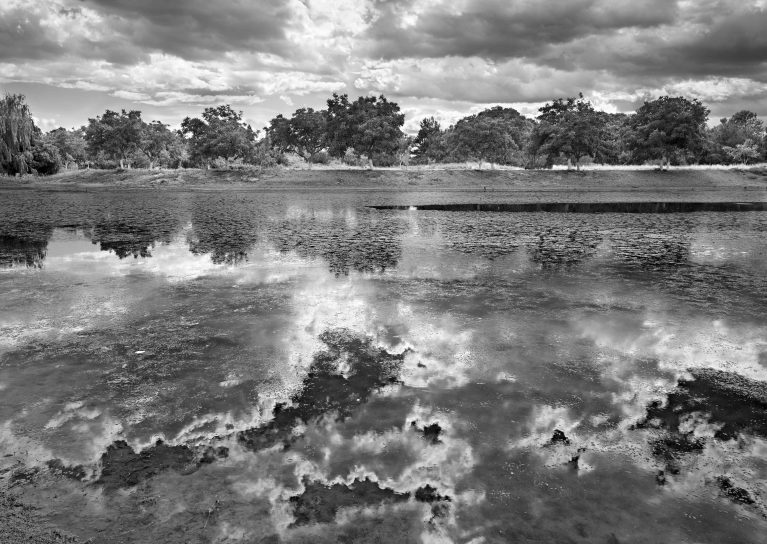 Whitcombe's Pond