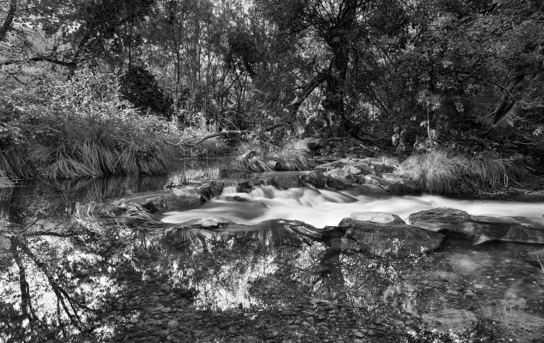 The Weir