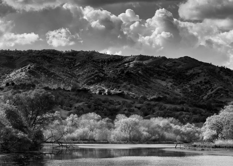 Spring On Lake Solano
