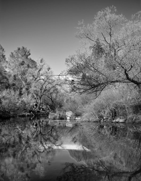 Reflection of Monticello